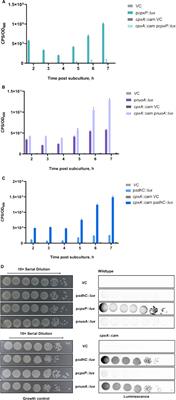 The Cpx Stress Response Regulates Turnover of Respiratory Chain Proteins at the Inner Membrane of Escherichia coli